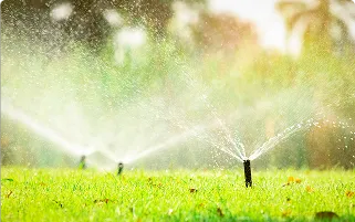 Yard Spraying