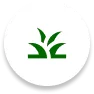Lawn Care Icon